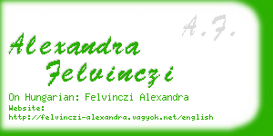 alexandra felvinczi business card